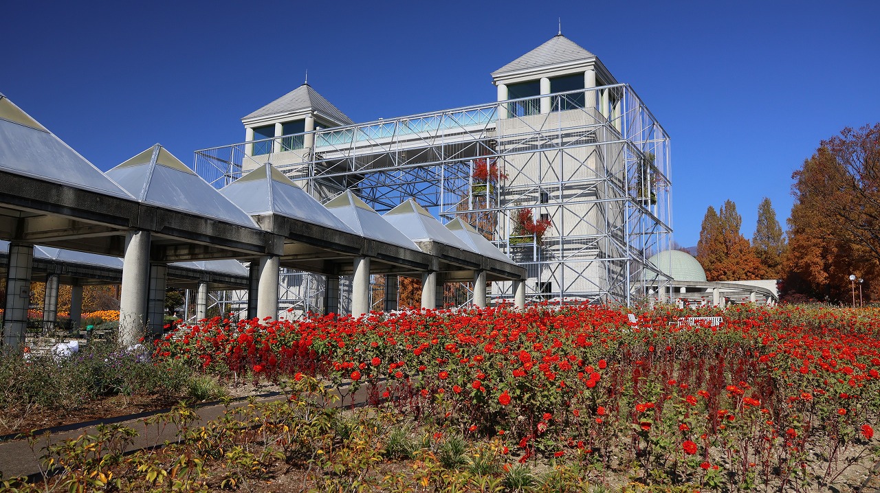 群馬県前橋市の群馬フラワーパークの花々