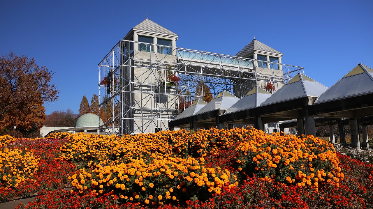 群馬県前橋市の群馬フラワーパークの花々