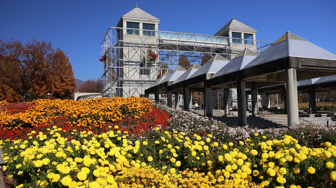 群馬県前橋市の群馬フラワーパークの花々