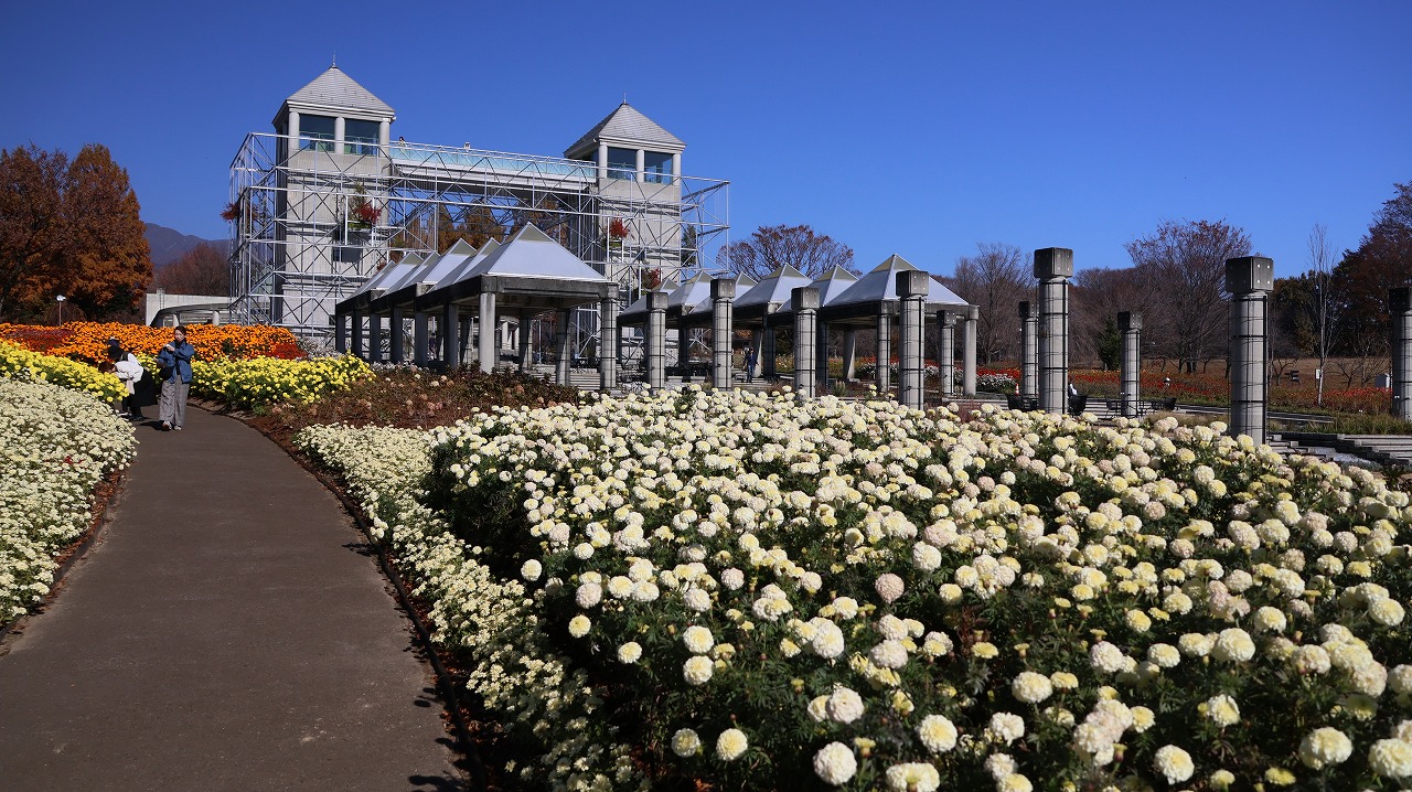 群馬県前橋市の群馬フラワーパークの花々