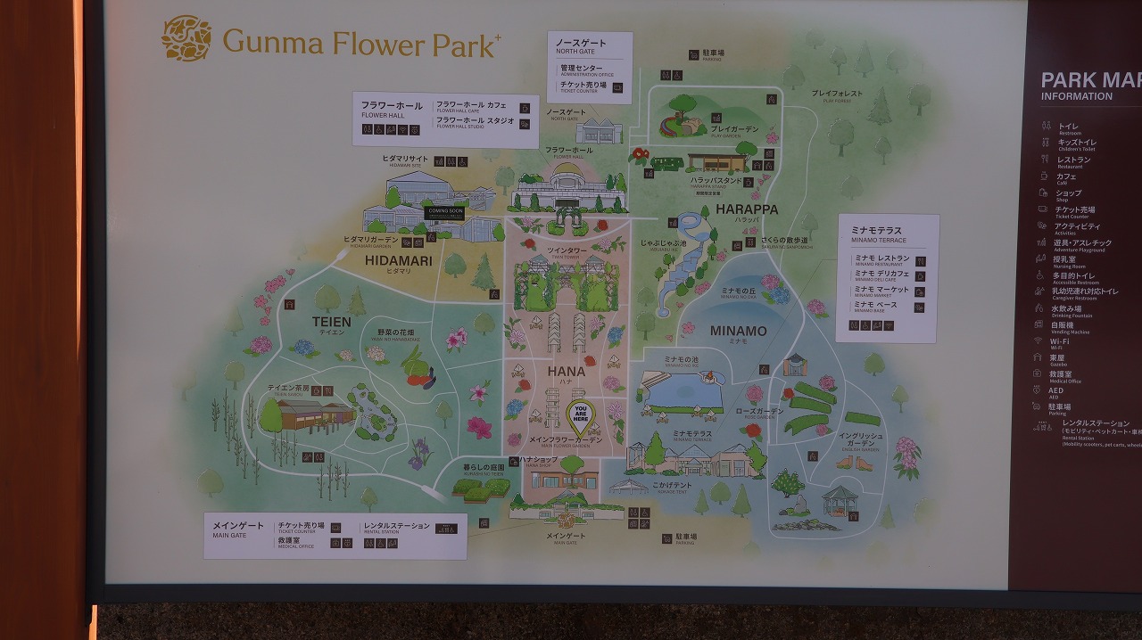 群馬県前橋市の群馬フラワーパークの花々