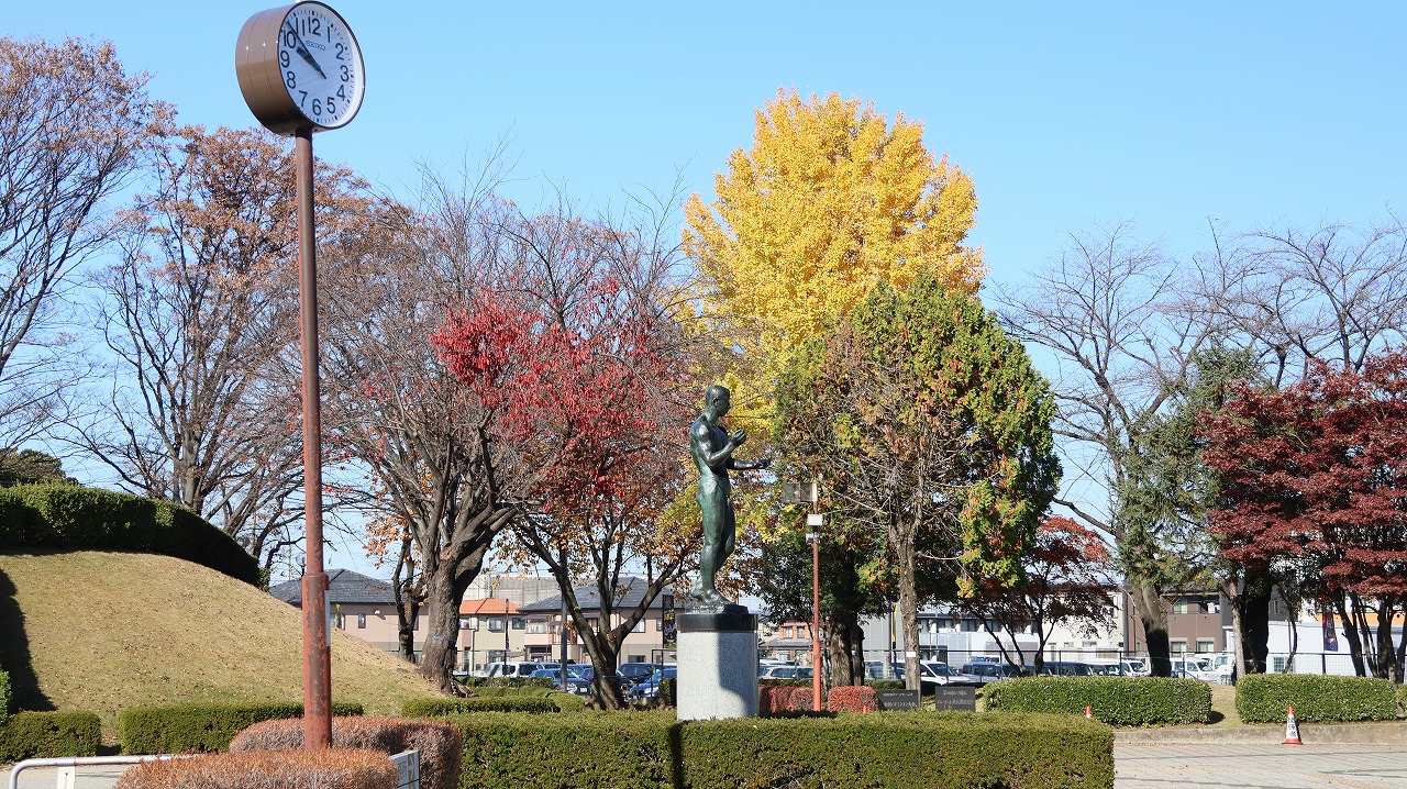 群馬県太田市の太田市運動公園の紅葉