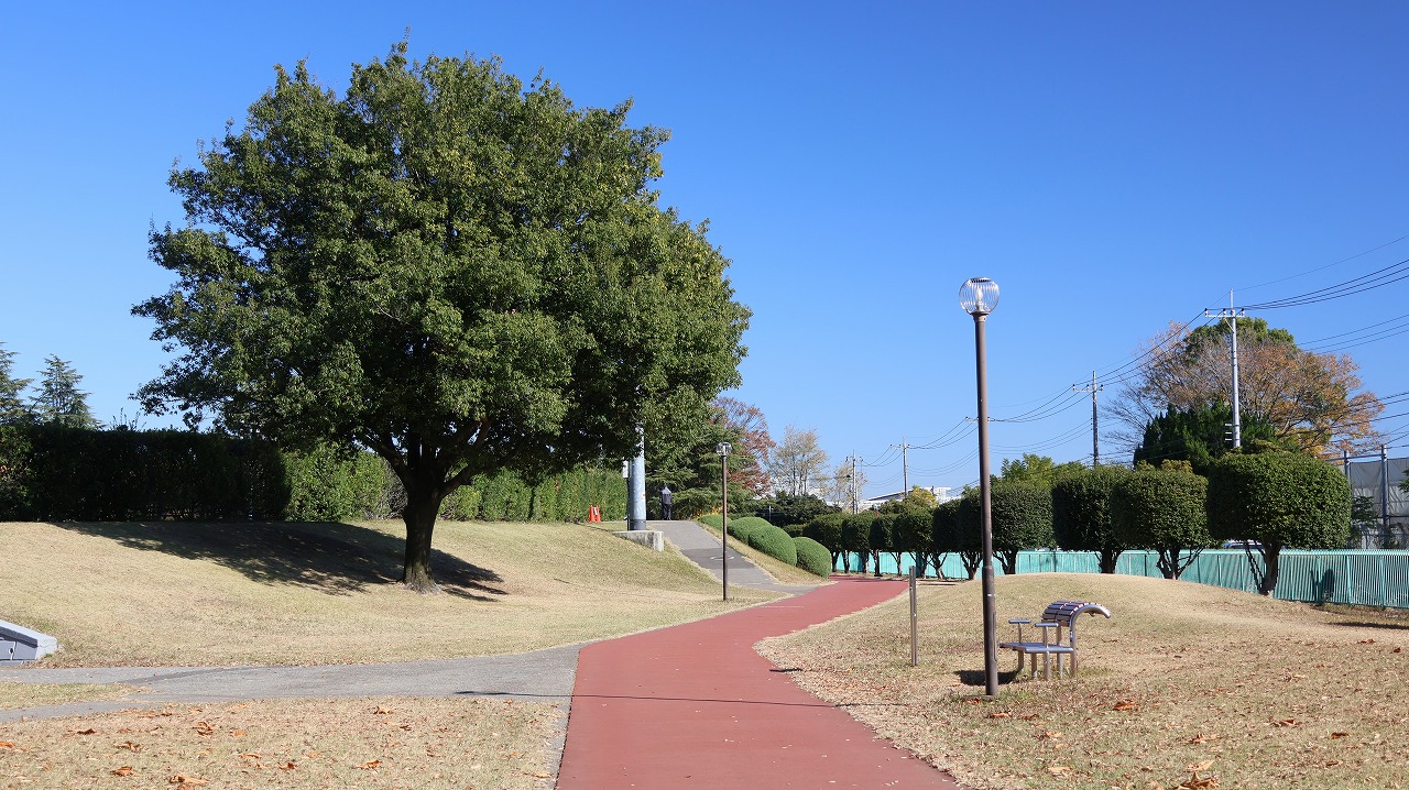 群馬県太田市の太田市運動公園の紅葉