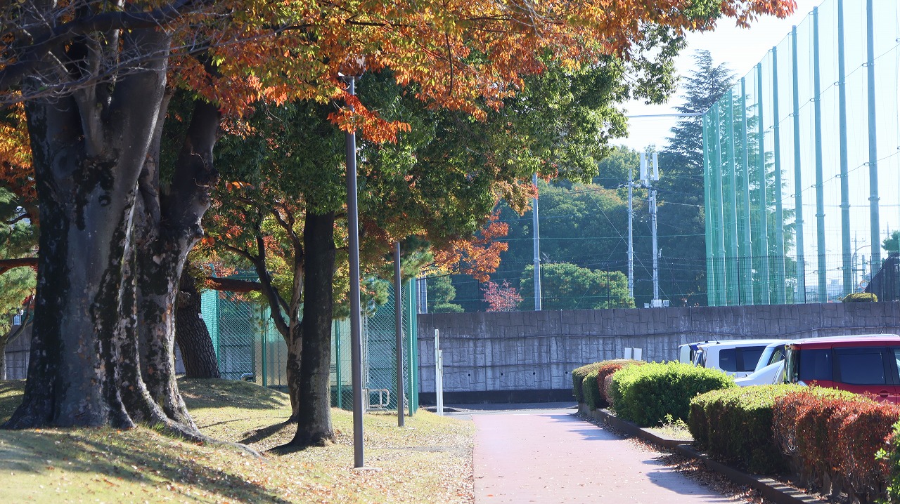 群馬県太田市の太田市運動公園の紅葉
