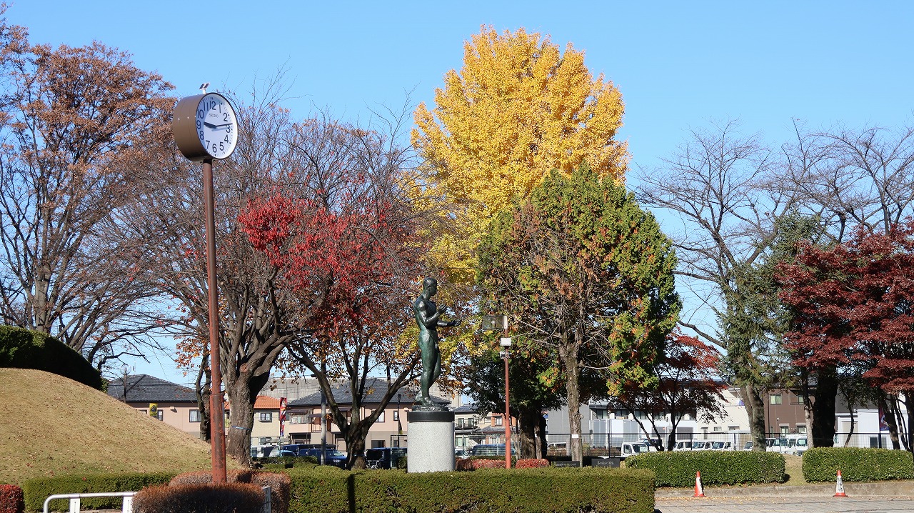 群馬県太田市の太田市運動公園の紅葉