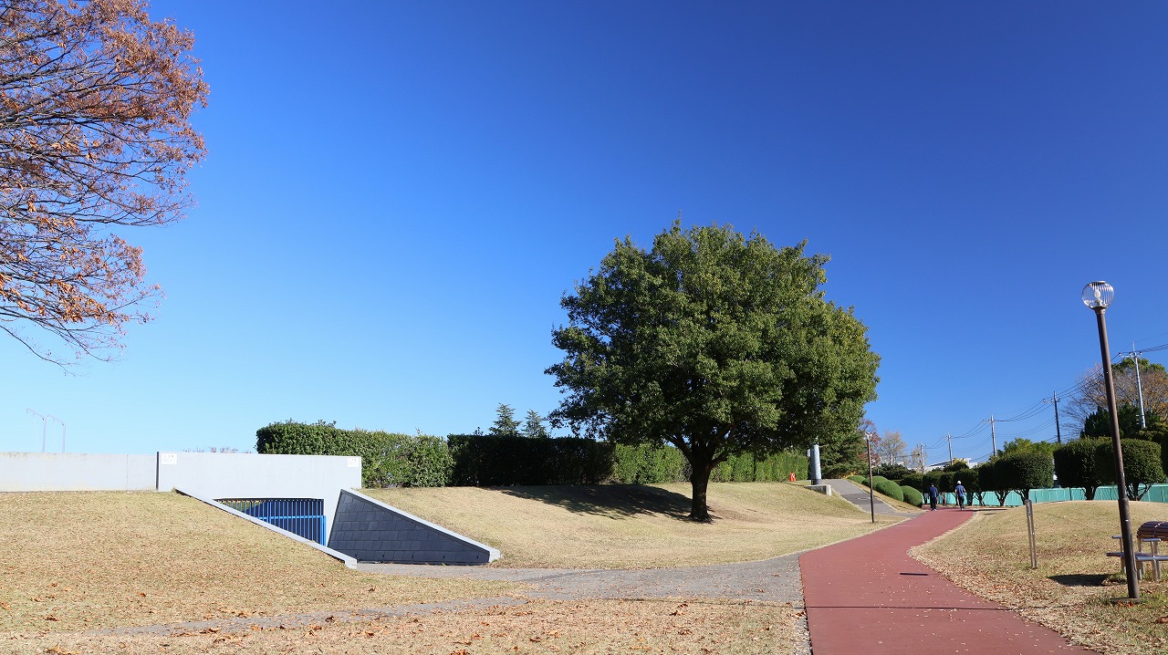 群馬県太田市の太田市運動公園の紅葉