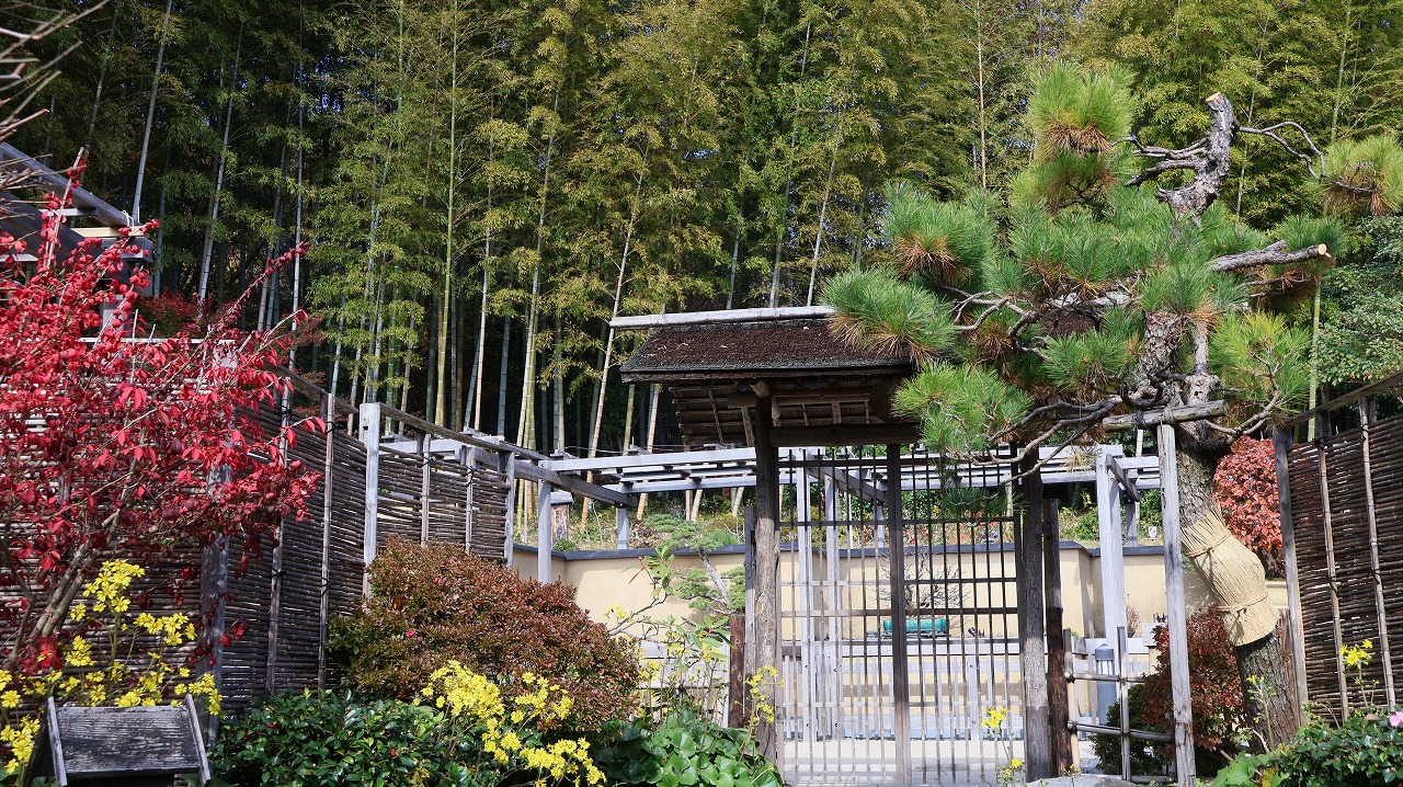 東京都の国営昭和記念公園の日本庭園の紅葉