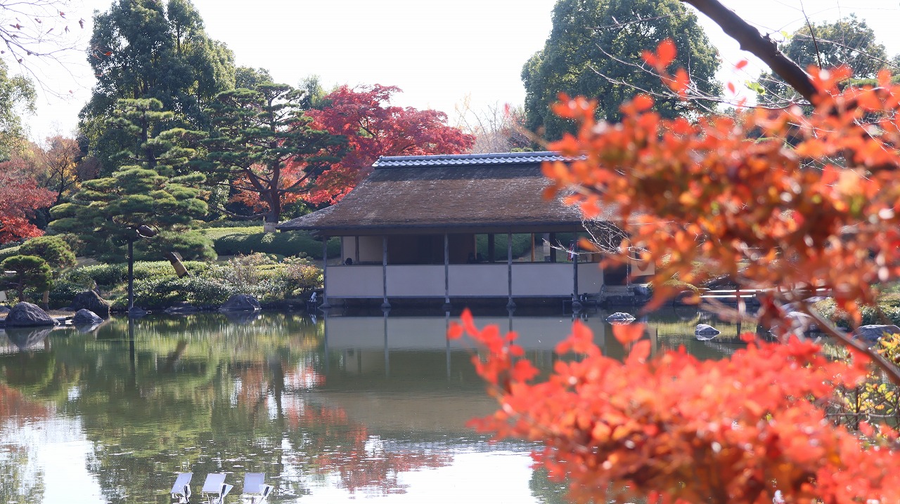 東京都の国営昭和記念公園の日本庭園の紅葉
