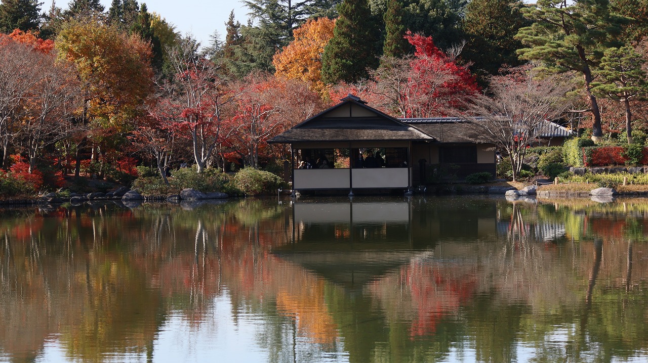 東京都の国営昭和記念公園の日本庭園の紅葉