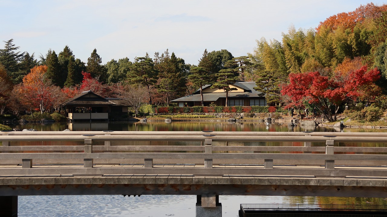 東京都の国営昭和記念公園の日本庭園の紅葉