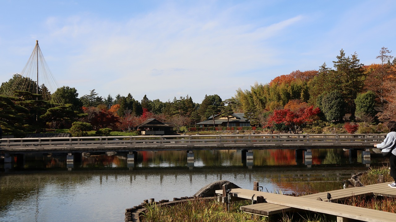 東京都の国営昭和記念公園の日本庭園の紅葉