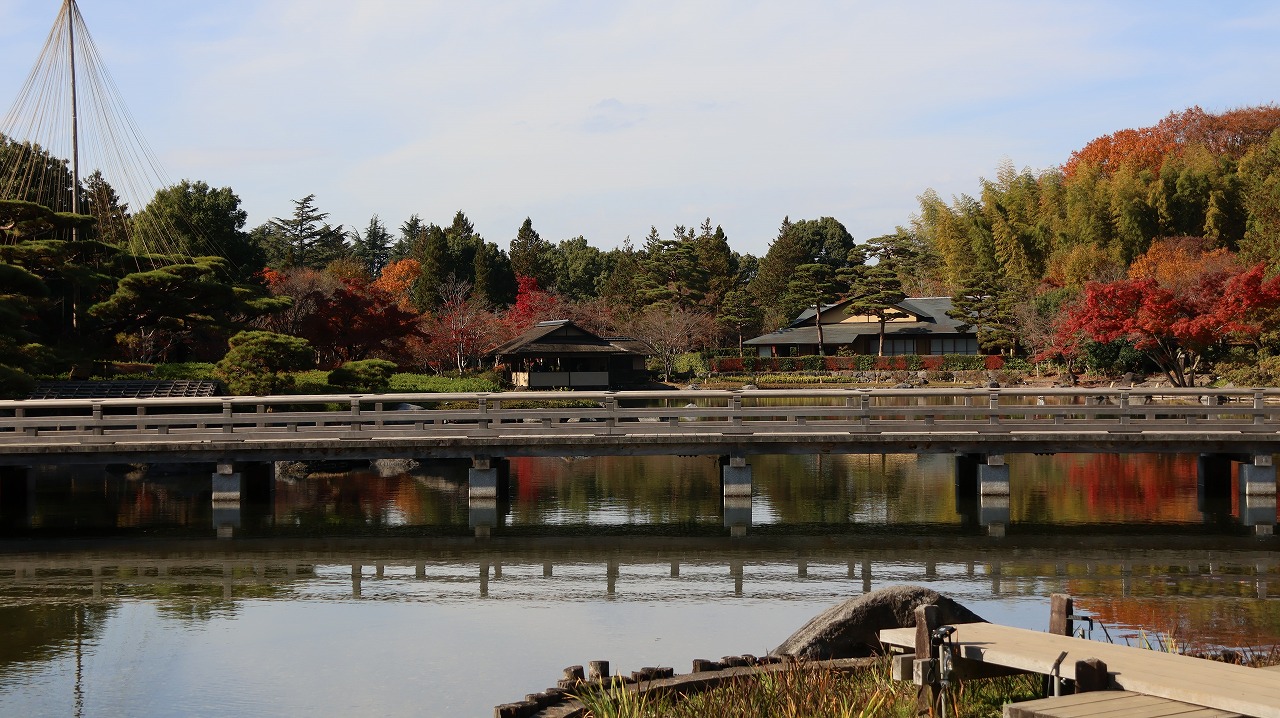 東京都の国営昭和記念公園の日本庭園の紅葉