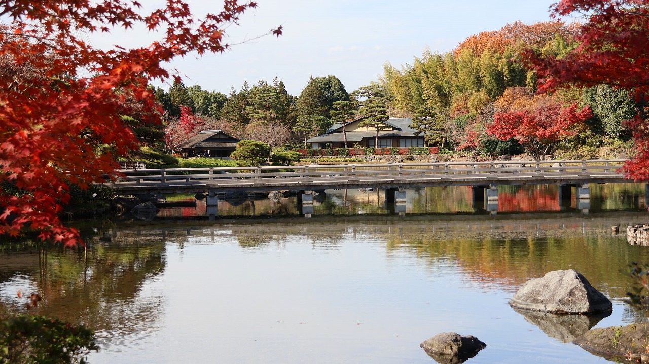 東京都の国営昭和記念公園の日本庭園の紅葉
