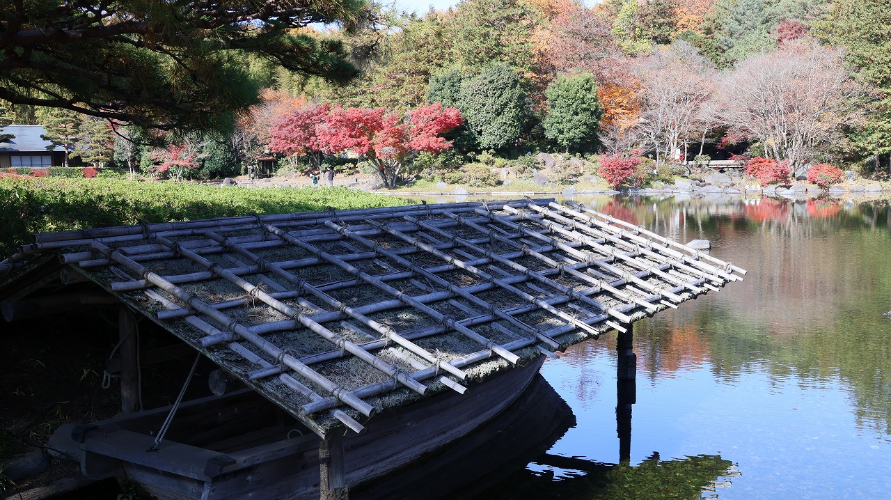東京都の国営昭和記念公園の日本庭園の紅葉