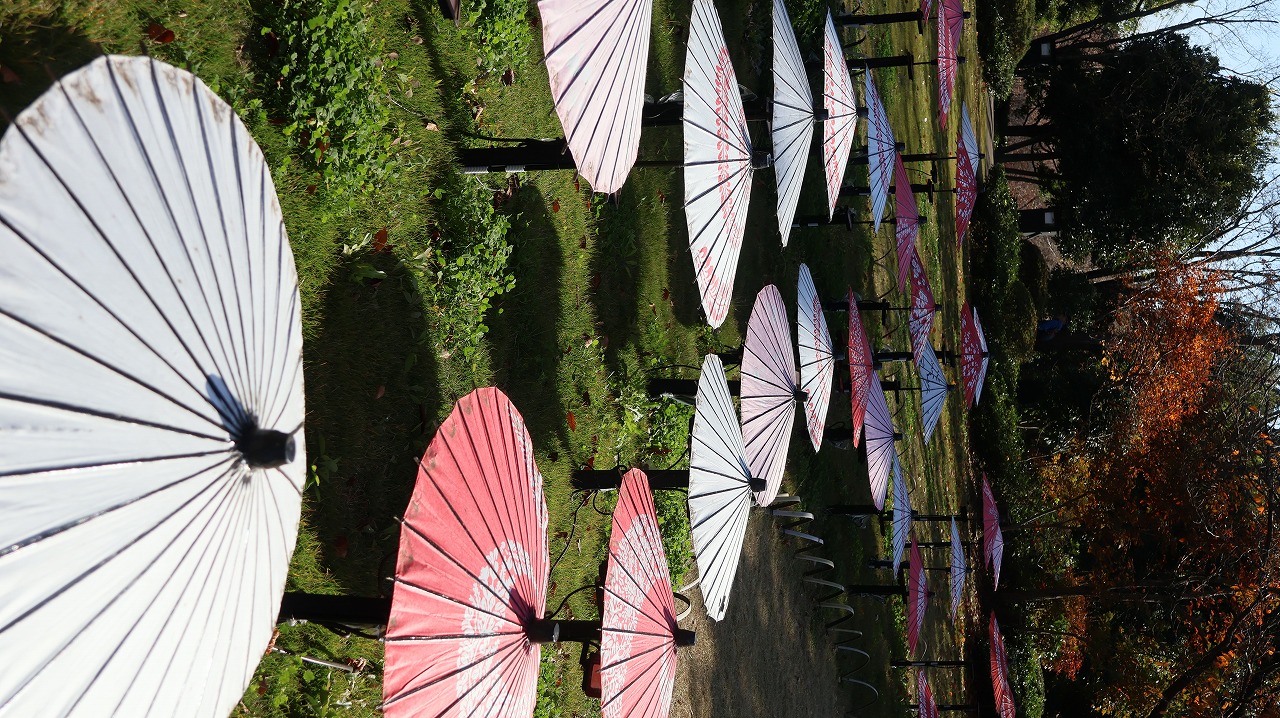 東京都の国営昭和記念公園の日本庭園の紅葉