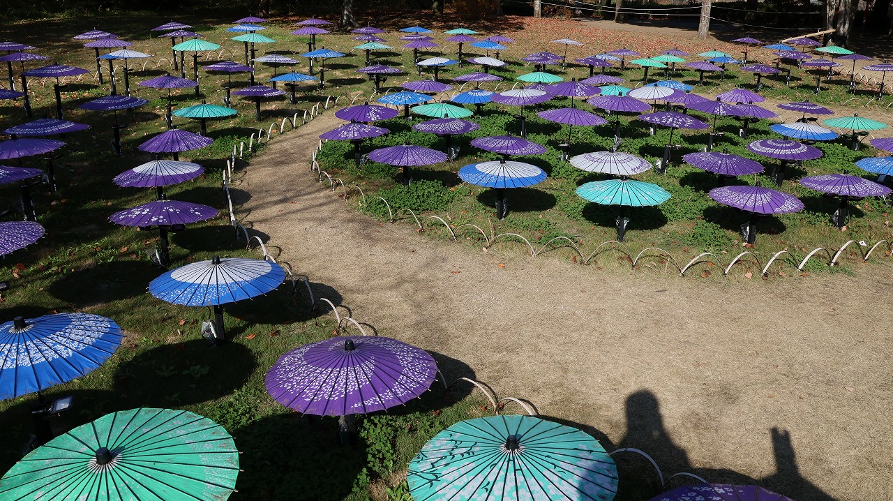 東京都の国営昭和記念公園の日本庭園の紅葉