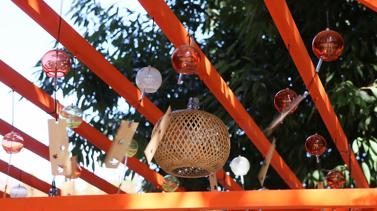 東京都の国営昭和記念公園の日本庭園の紅葉