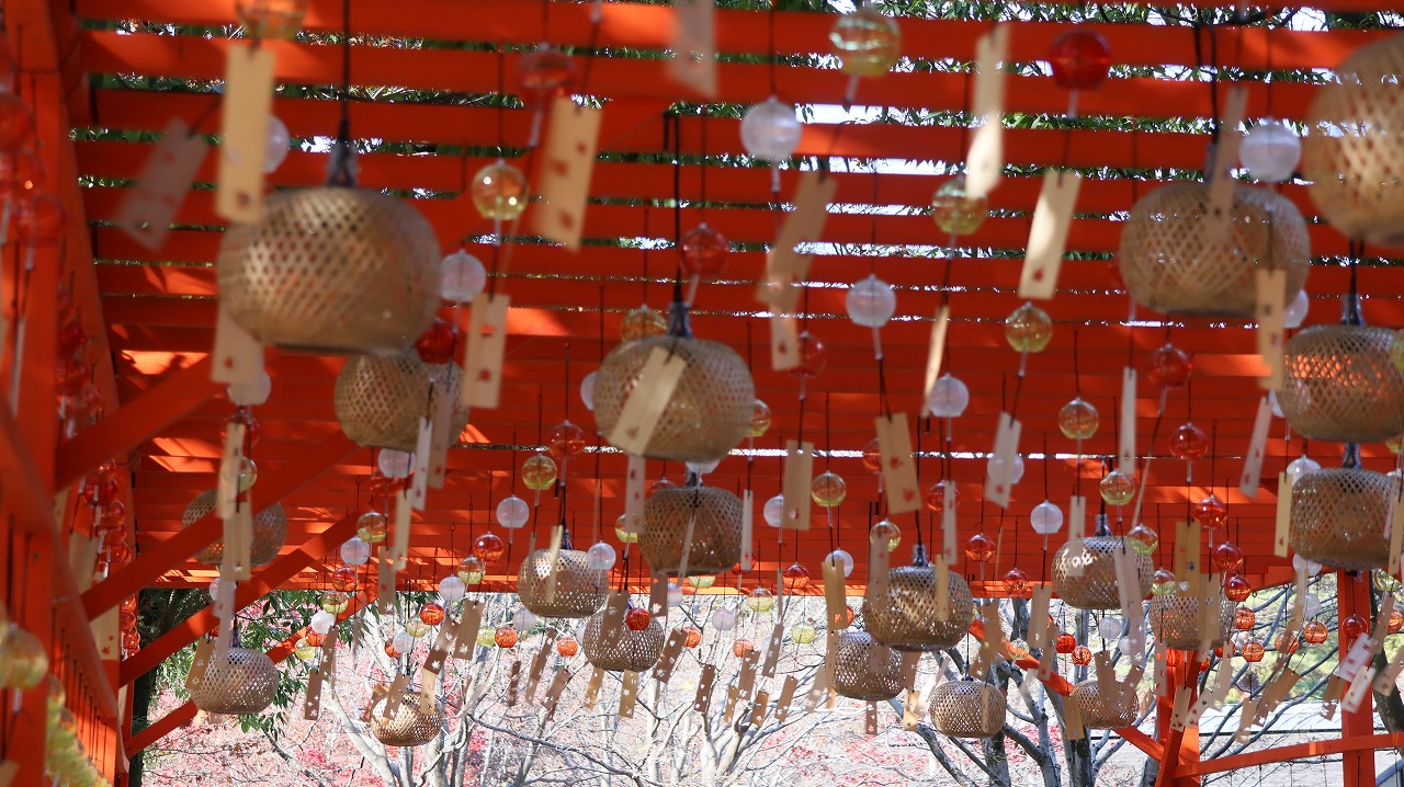 東京都の国営昭和記念公園の日本庭園の紅葉