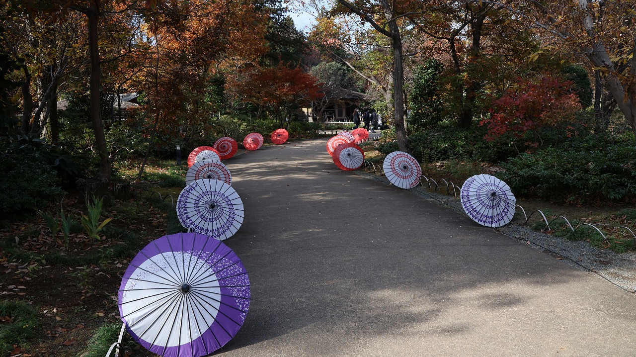 東京都の国営昭和記念公園の日本庭園の紅葉