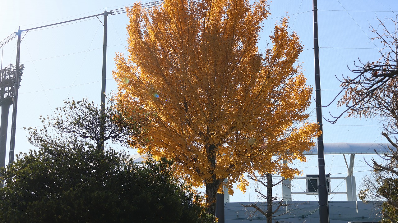 群馬県太田市の太田市運動公園