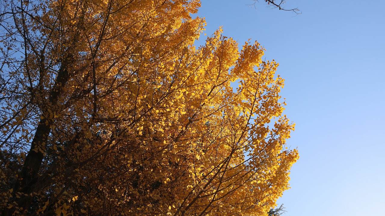 群馬県太田市の太田市運動公園