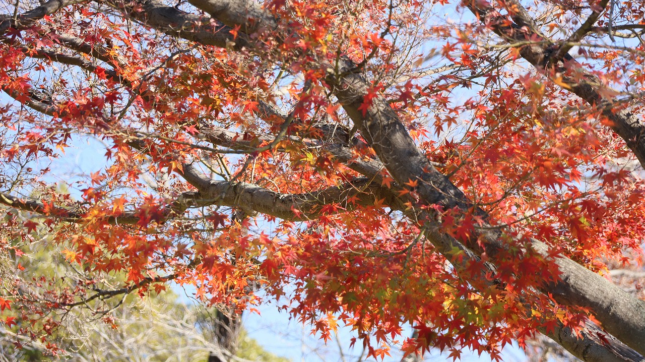 群馬県太田市の太田市運動公園
