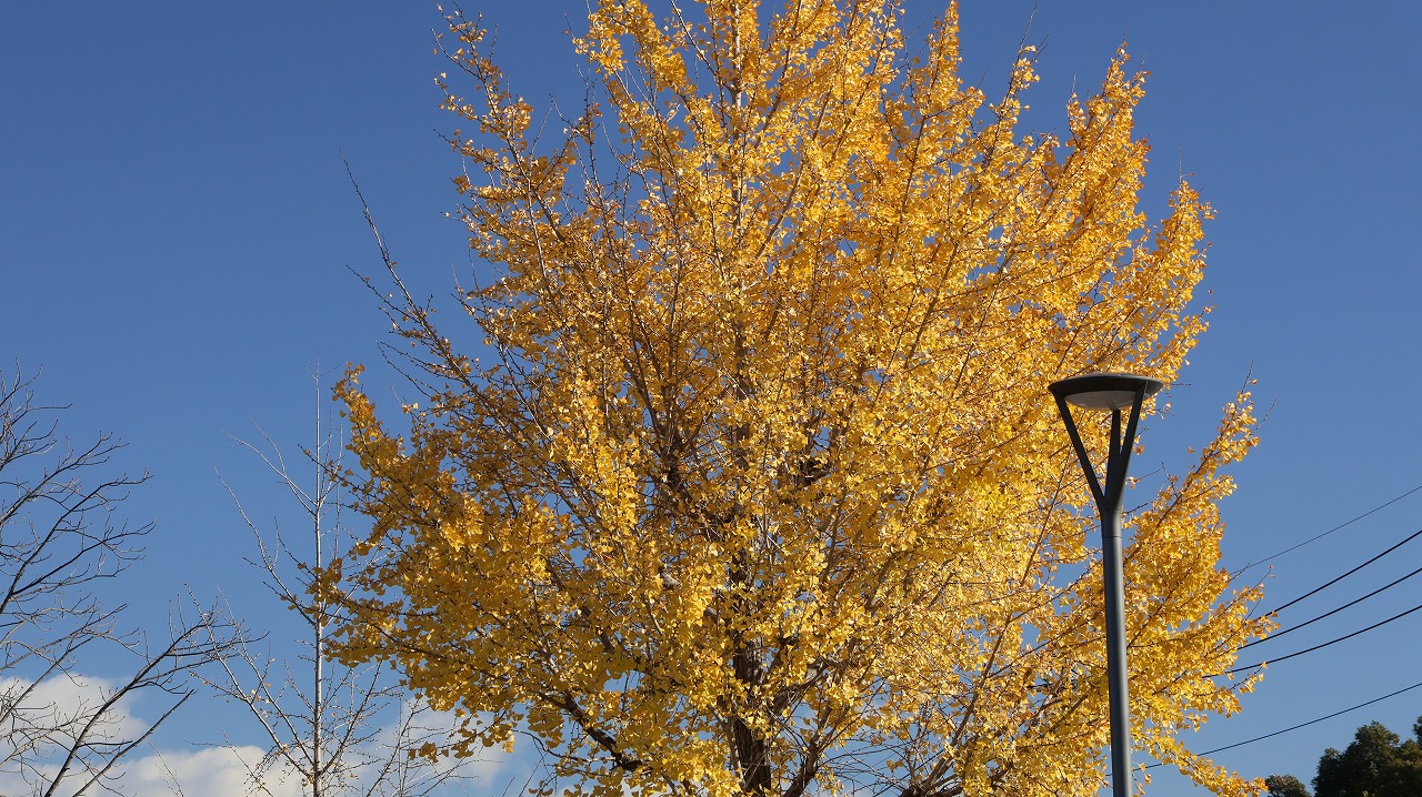 群馬県太田市の太田市運動公園