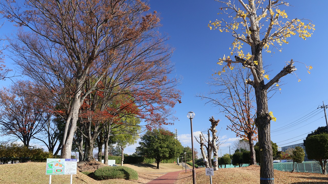 群馬県太田市の太田市運動公園