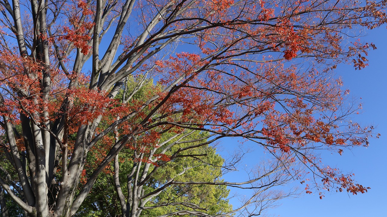 群馬県太田市の太田市運動公園