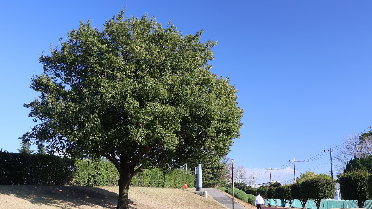 群馬県太田市の太田市運動公園