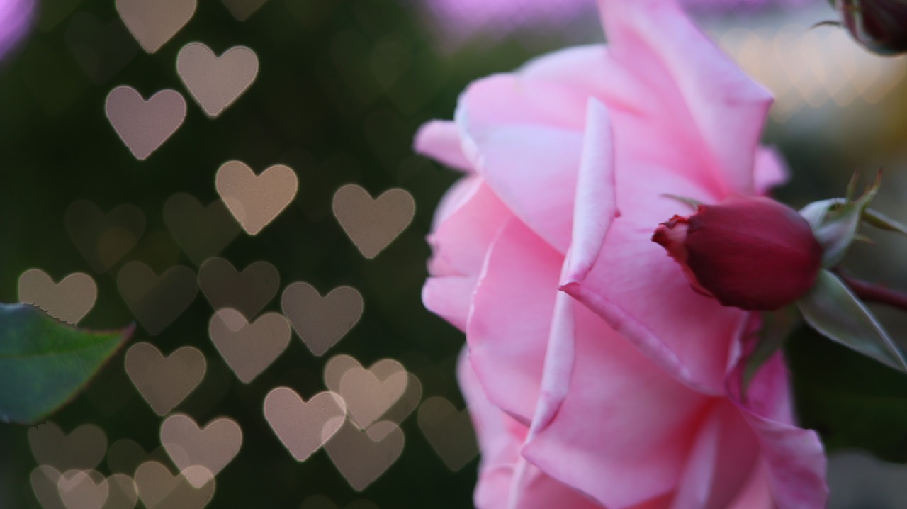 栃木県足利市のあしかがフラワーパークのイルミネーション