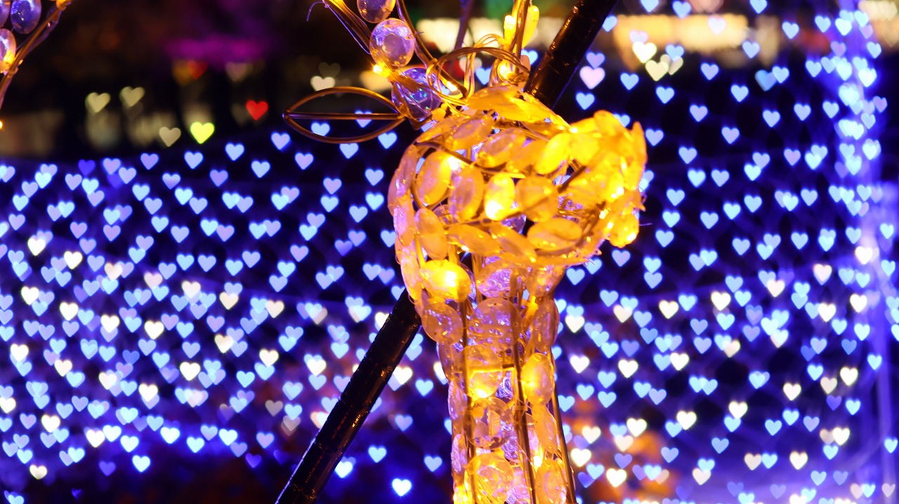 埼玉県本庄市のマリーゴールドの丘公園のイルミネーション