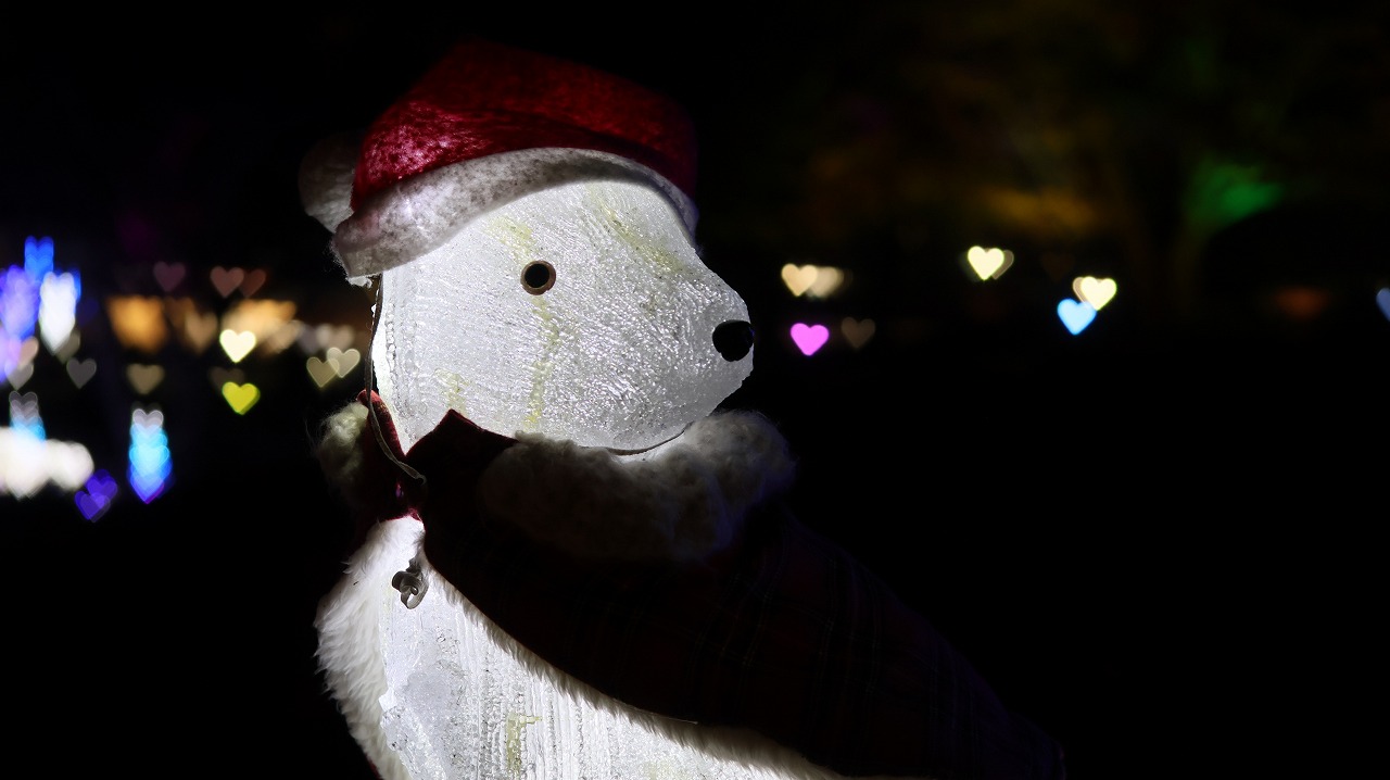 埼玉県本庄市のマリーゴールドの丘公園のイルミネーション