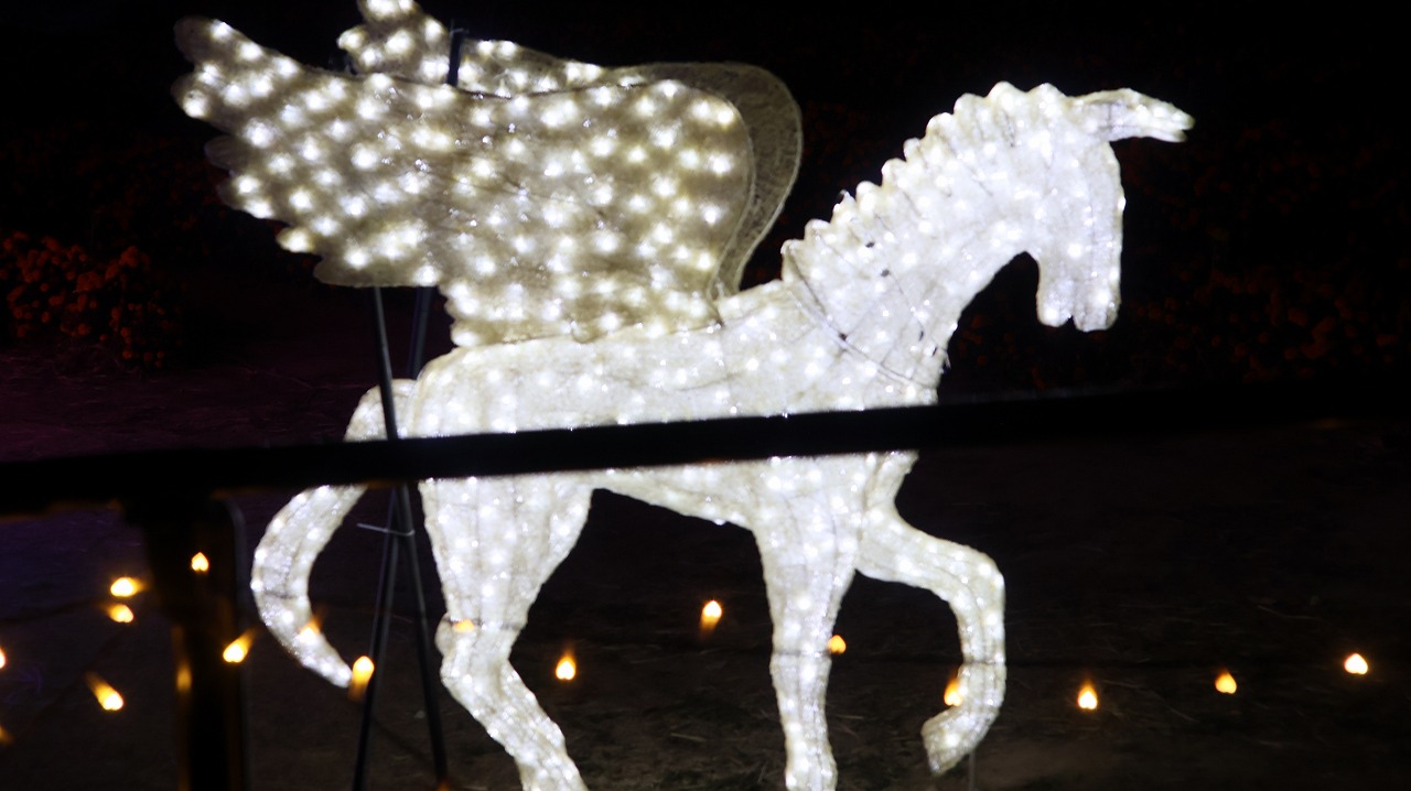 埼玉県本庄市のマリーゴールドの丘公園のイルミネーション