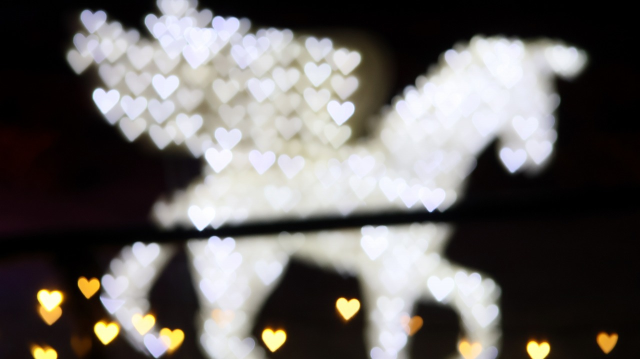 埼玉県本庄市のマリーゴールドの丘公園のイルミネーション
